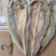 小沙鱼，沙鱼干