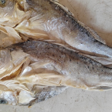 海鲈鱼干，鲈鱼干