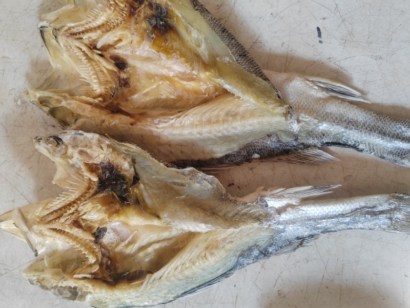 海鲈鱼干，鲈鱼干