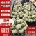 【精品】有机花菜,小米粒,根平叶净,保质保量,货源充足