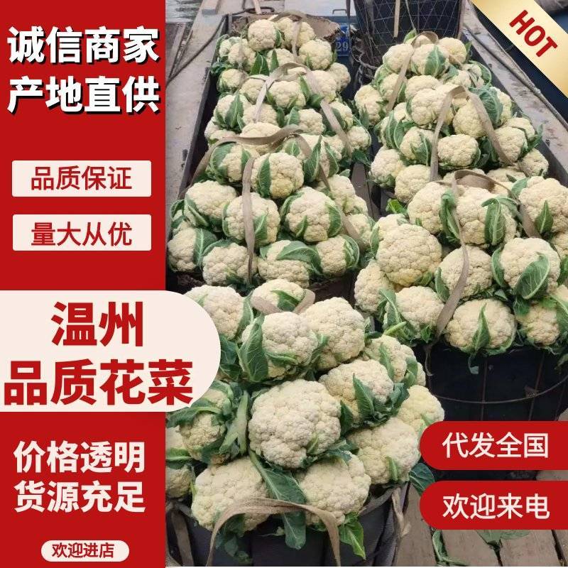 【精品】有机花菜，小米粒，根平叶净，保质保量，货源充足