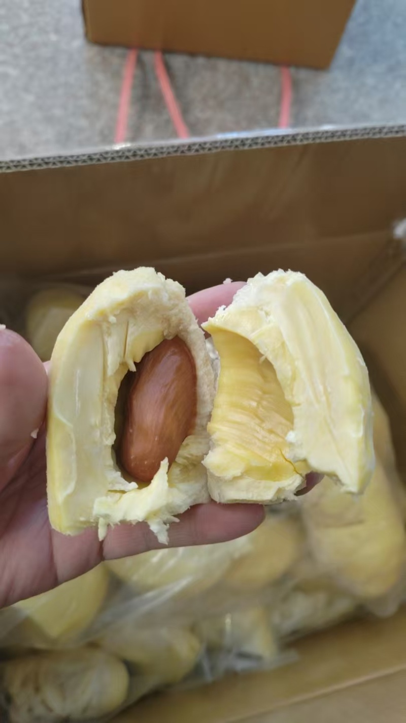 金枕榴莲冷冻榴莲双A果B果