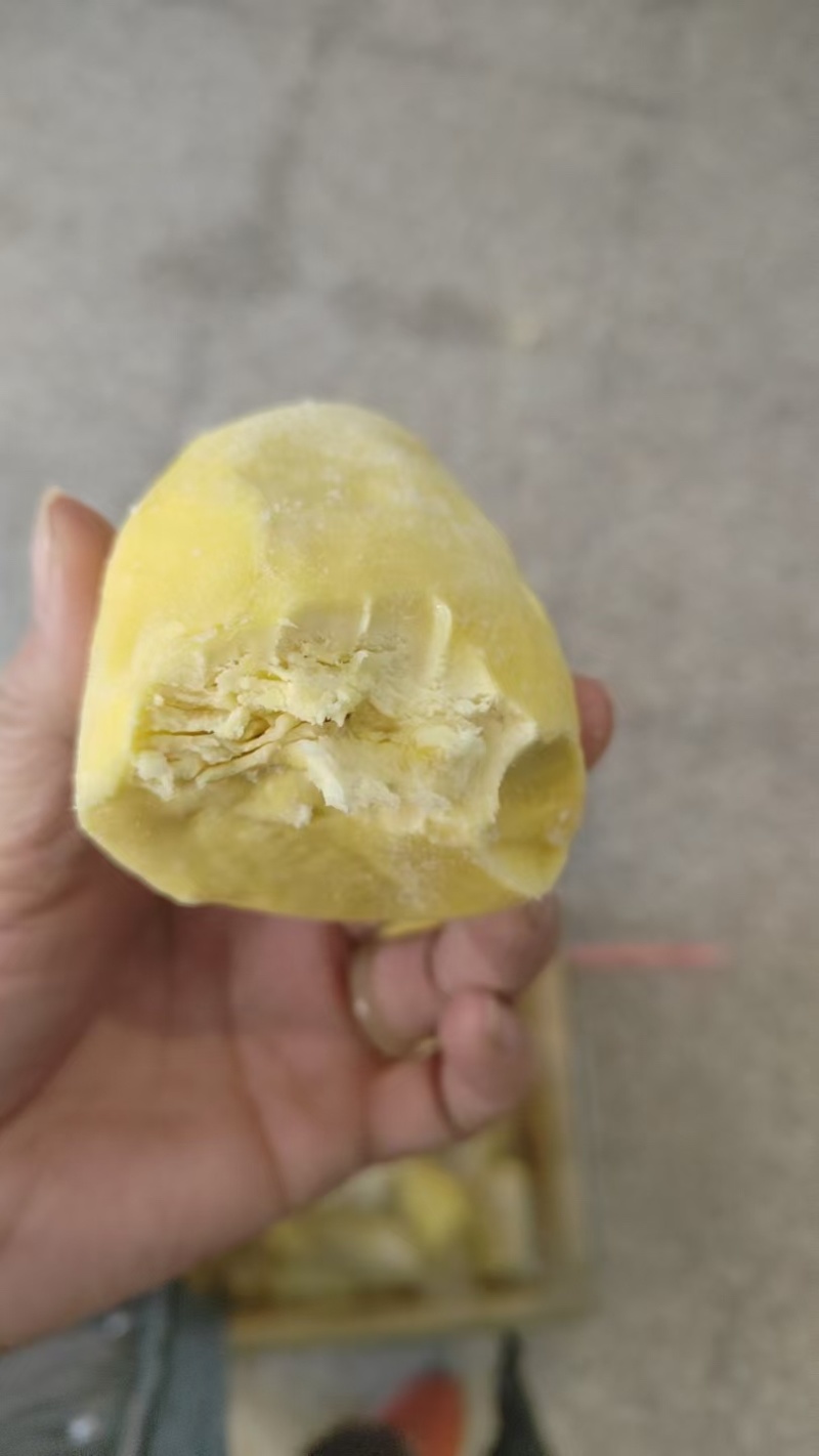 金枕榴莲冷冻榴莲双A果B果