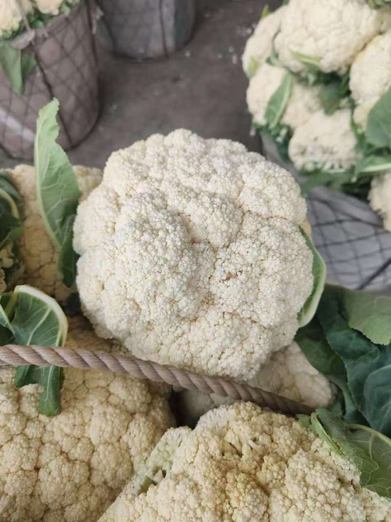 【精品】有机花菜，小米粒，根平叶净，保质保量，货源充足