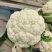 【精品】有机花菜,小米粒,根平叶净,保质保量,货源充足