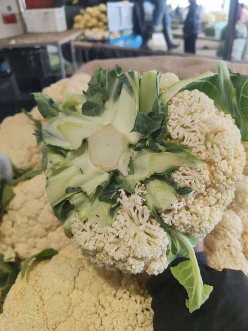 【精品】有机花菜，小米粒，根平叶净，保质保量，货源充足