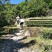 【批发价】明前特细正山小种红茶茶叶浓香型散装红茶