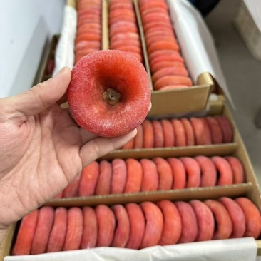 柿子饼批发价格一手货源大量现货产地直发品质保证价格漂亮有售后