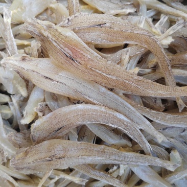 沙丁鱼，鱼干