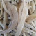 沙丁鱼，鱼干