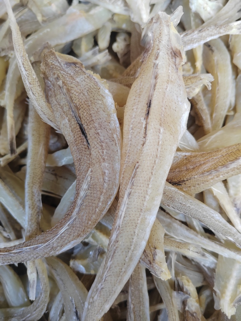 沙丁鱼，鱼干