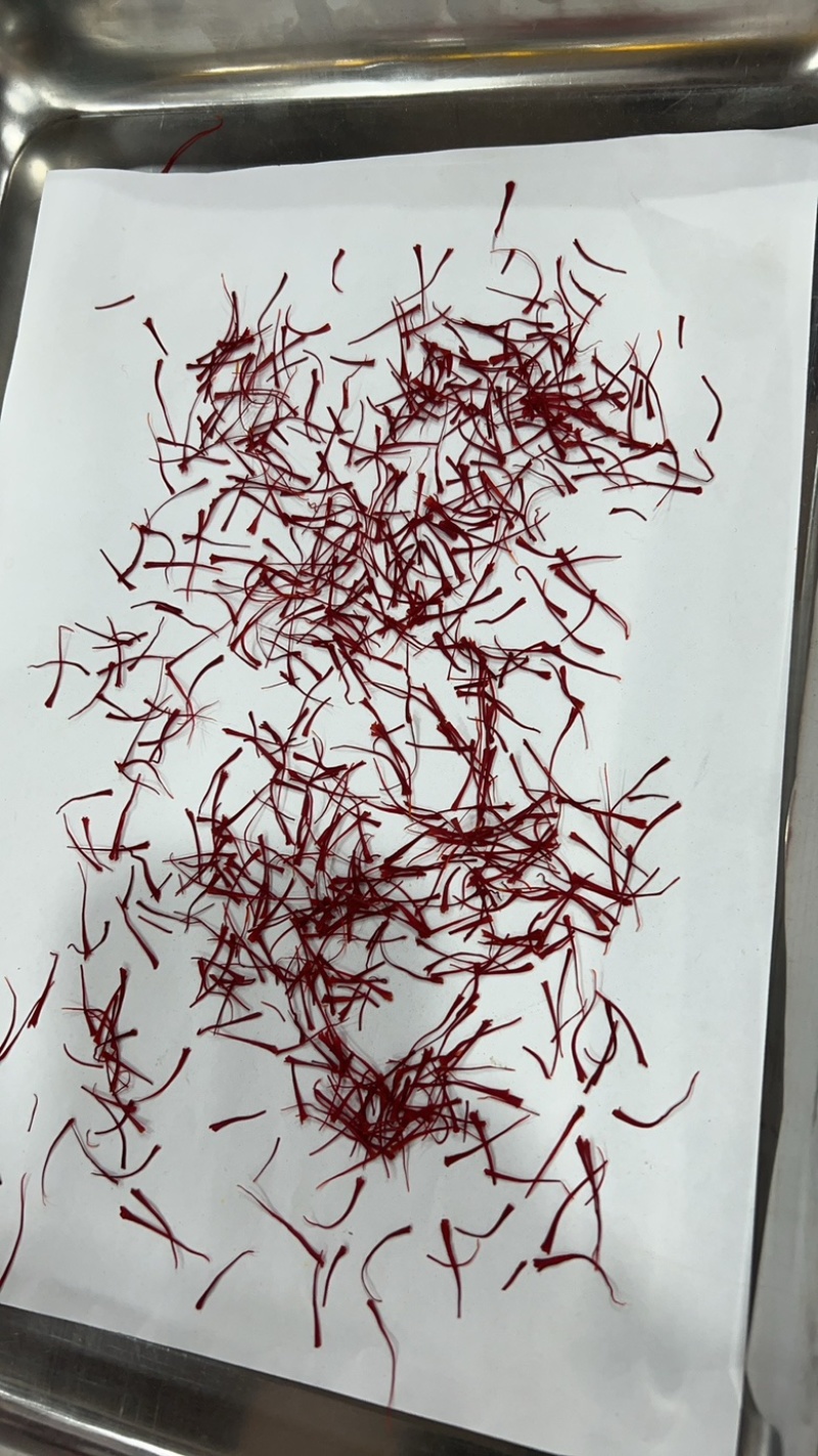 特级短丝藏红花野生西红花泡水中药材泡脚批发