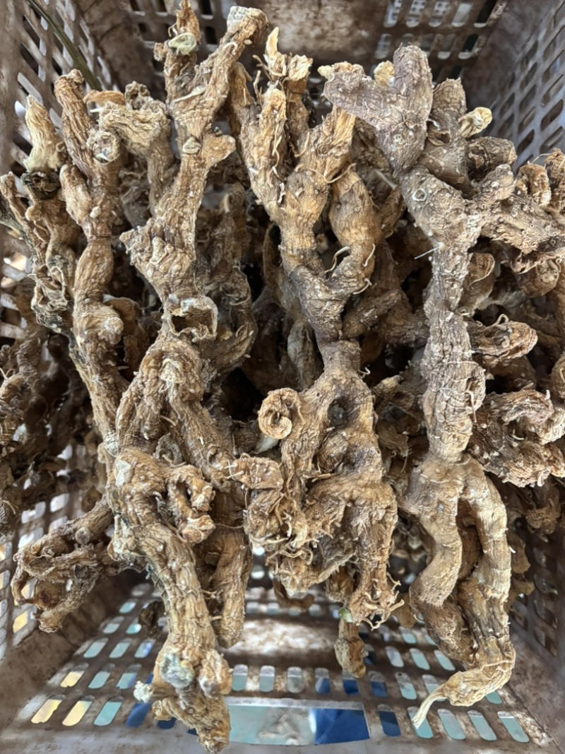 黄精长条（华芸山品牌）