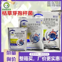 鲁抗颗韧枯草芽孢杆菌杀菌剂小麦赤霉病黄瓜白粉病