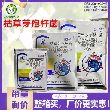 鲁抗颗韧枯草芽孢杆菌杀菌剂小麦赤霉病黄瓜白粉病