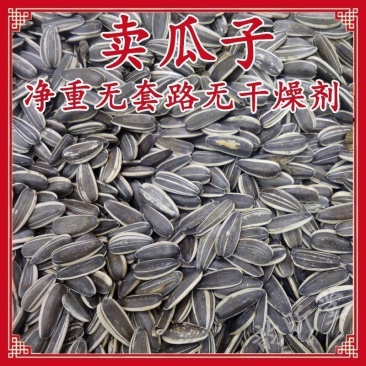 】原味瓜子焦糖核桃红枣味五香葵瓜子新货批发