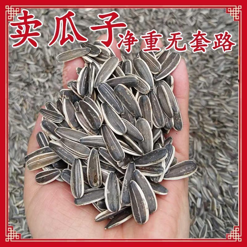 】原味瓜子焦糖核桃红枣味五香葵瓜子新货批发