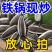 】原味瓜子焦糖核桃红枣味五香葵瓜子新货批发