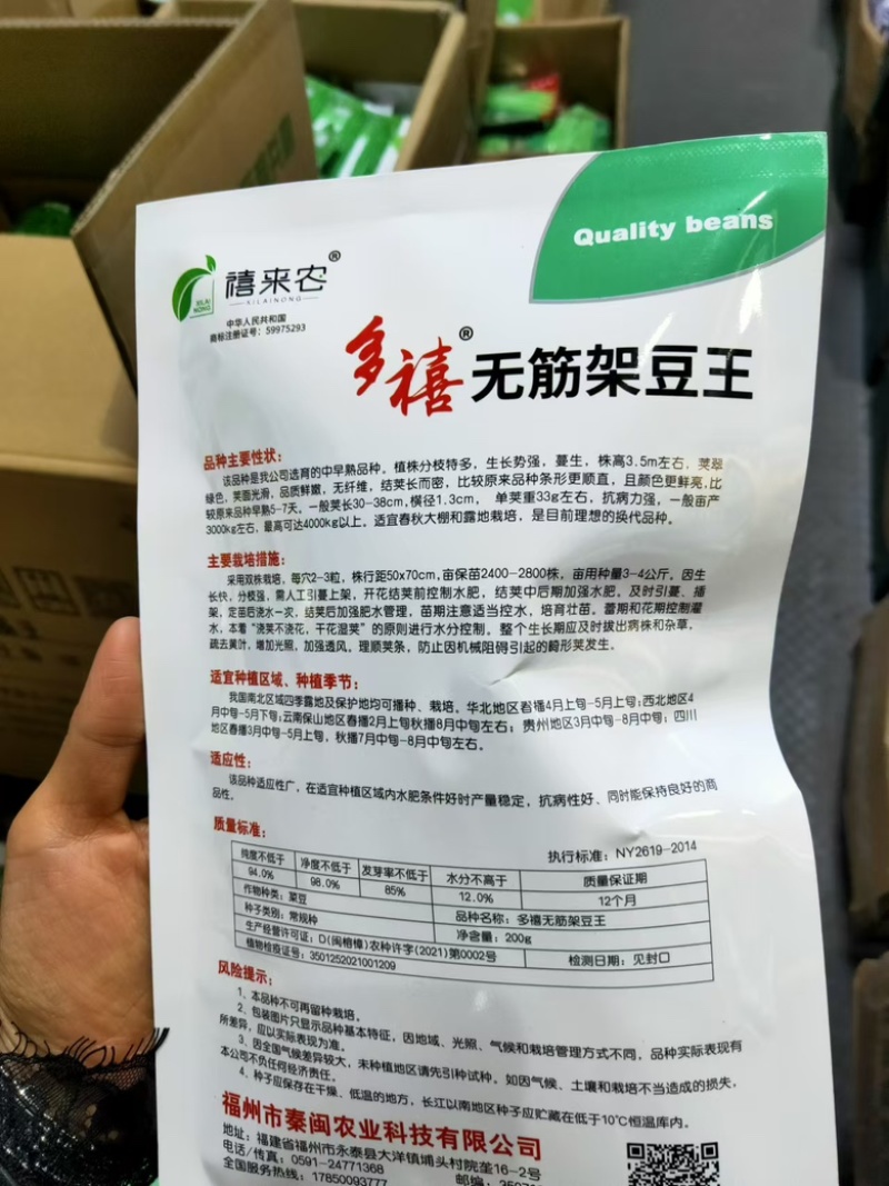 无筋架豆王种子中早熟蔓生荚翠绿色春秋均可种植