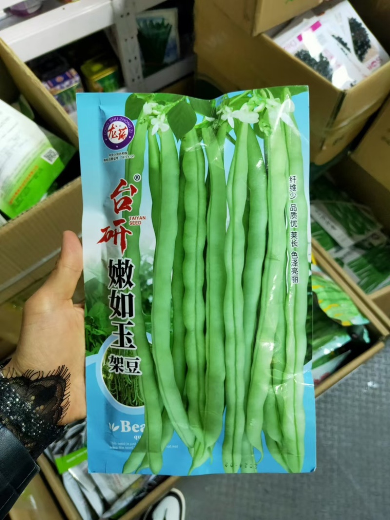 台研嫩如玉架豆种子中早熟蔓生荚绿白色圆长纤维少品质好
