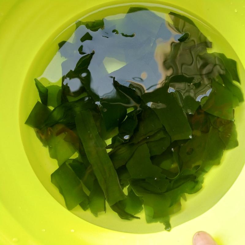 压缩海带条火锅海带条海带条打海带结条压缩海带片免洗海带片