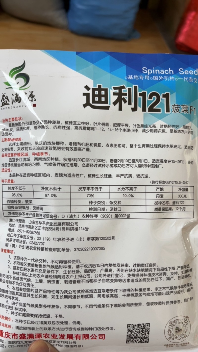 重庆发货到全国高抗霜霉病进口菠菜