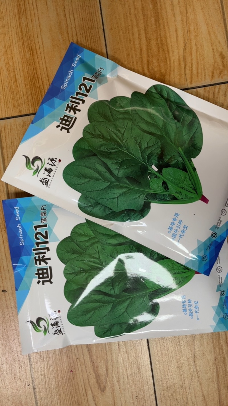 重庆发货到全国高抗霜霉病进口菠菜