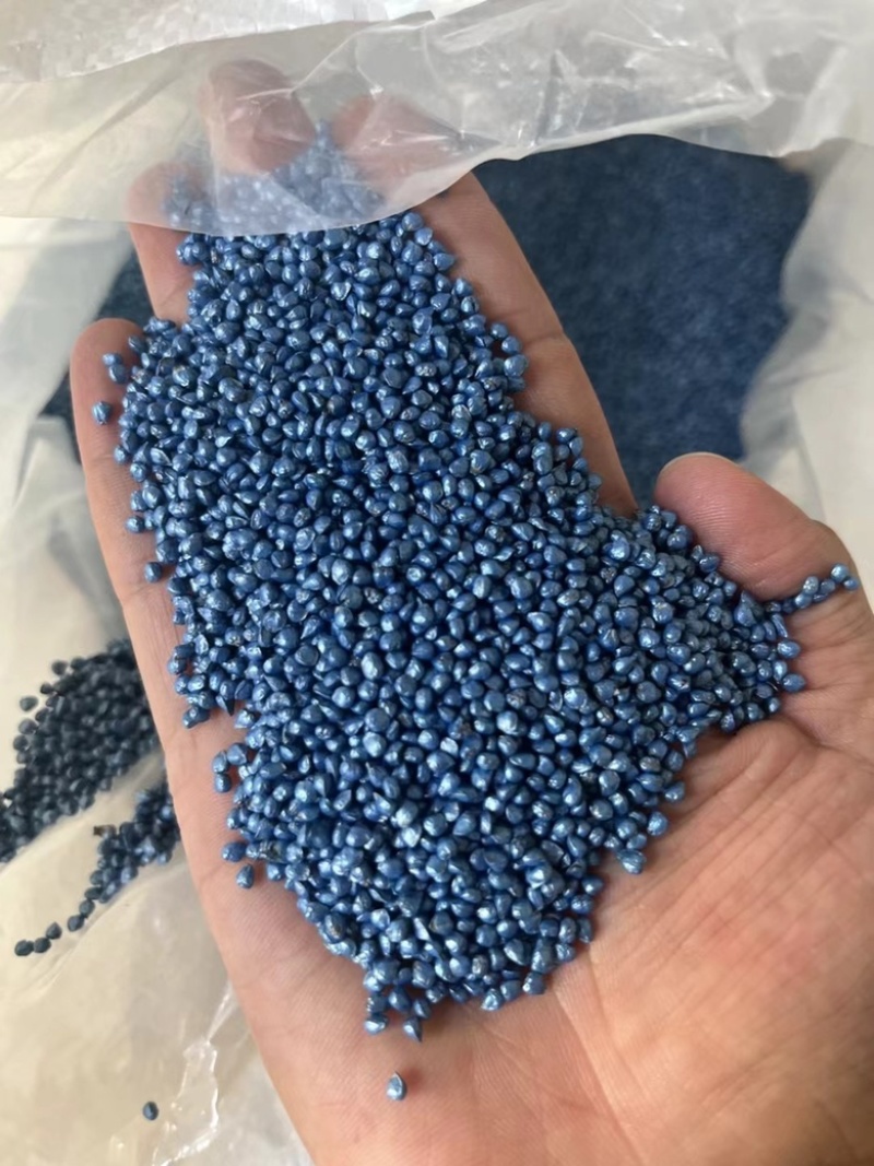 黑叶菠菜杂交种耐寒生长速度快半直立进口菠菜小籽粒