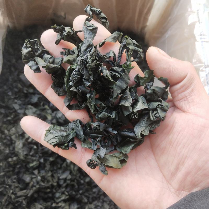 海带条小海带烘干压缩海带条海带头免洗海带条火锅海带片