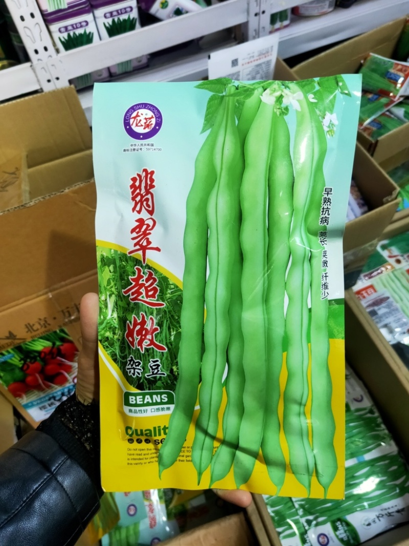 翡翠超嫩架豆种子早熟蔓生荚嫩白绿色豆圆棍形商品性好