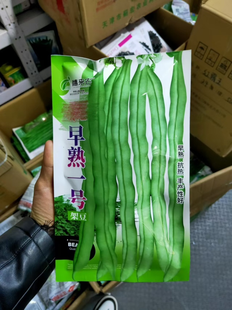 早熟一号架豆种子早熟嫩荚白绿棒形肉厚春秋均可种植