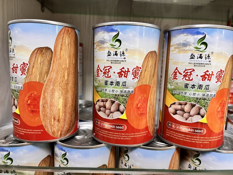 金冠大果红肉小心腔蜜本南瓜种子大金韩金船欧冠