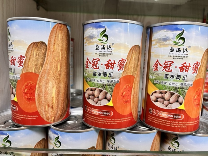 金冠大果红肉小心腔蜜本南瓜种子大金韩金船欧冠