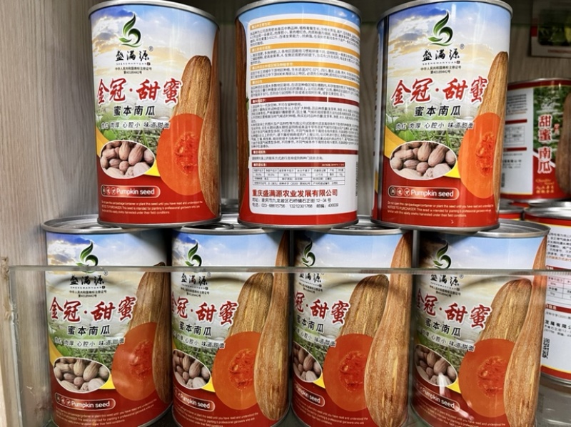 金冠大果红肉小心腔蜜本南瓜种子大金韩金船欧冠