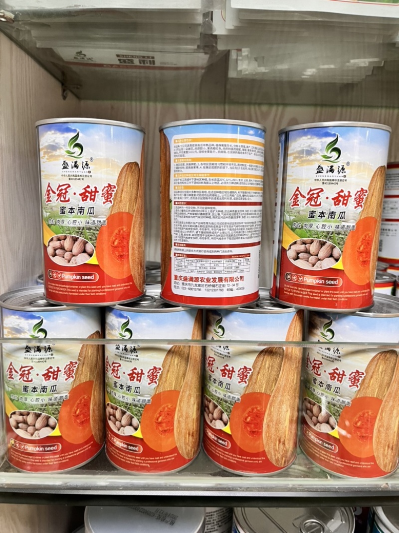 金冠大果红肉小心腔蜜本南瓜种子大金韩金船欧冠
