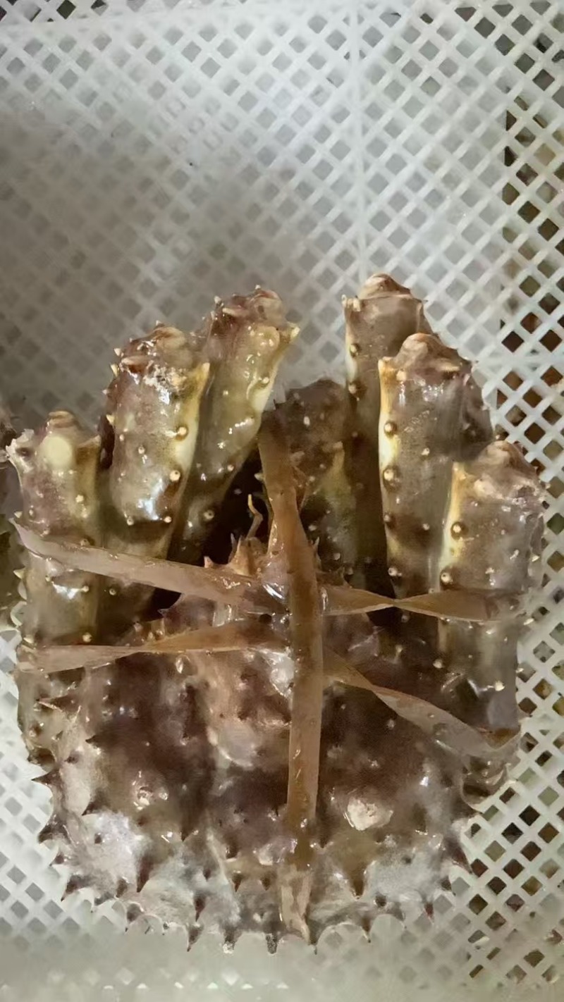 【正宗】冷冻帝王蟹基地直发保质保量对接全国商超社区团购