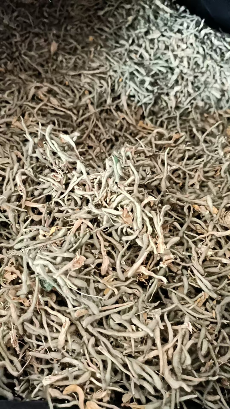 金银花