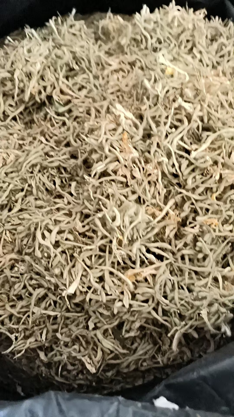 金银花