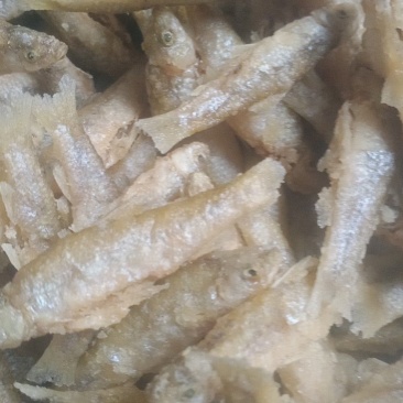 微山湖，麦穗鱼，油炸，鲜货，量大，开肚淀粉油炸二十五一斤
