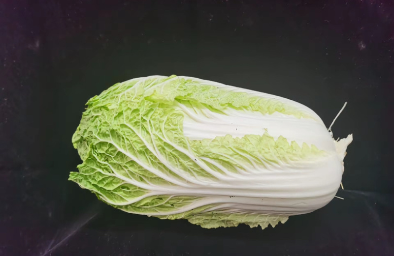 江苏盐城大白菜，黄心白菜产地直发直发量大优惠，快来抢购吧