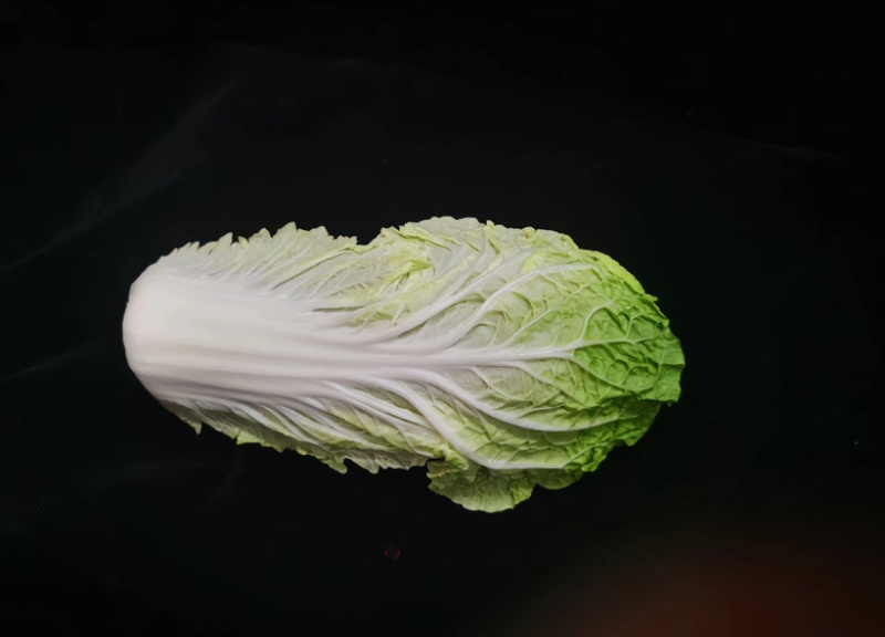 江苏盐城大白菜，黄心白菜产地直发直发量大优惠，快来抢购吧