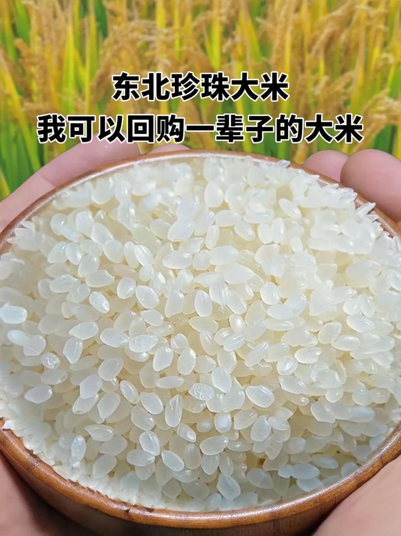 黑龙江大米/珍珠大米/圆粒大米/东北大米/50斤装