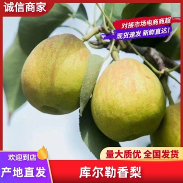 【推荐】正宗库尔勒香梨，产地直发量大从优，欢迎电话联系。