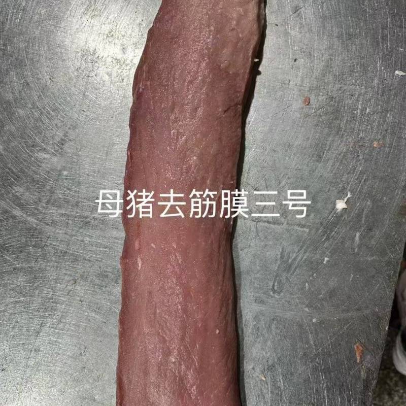 母猪纯干去筋膜三号，新货新开