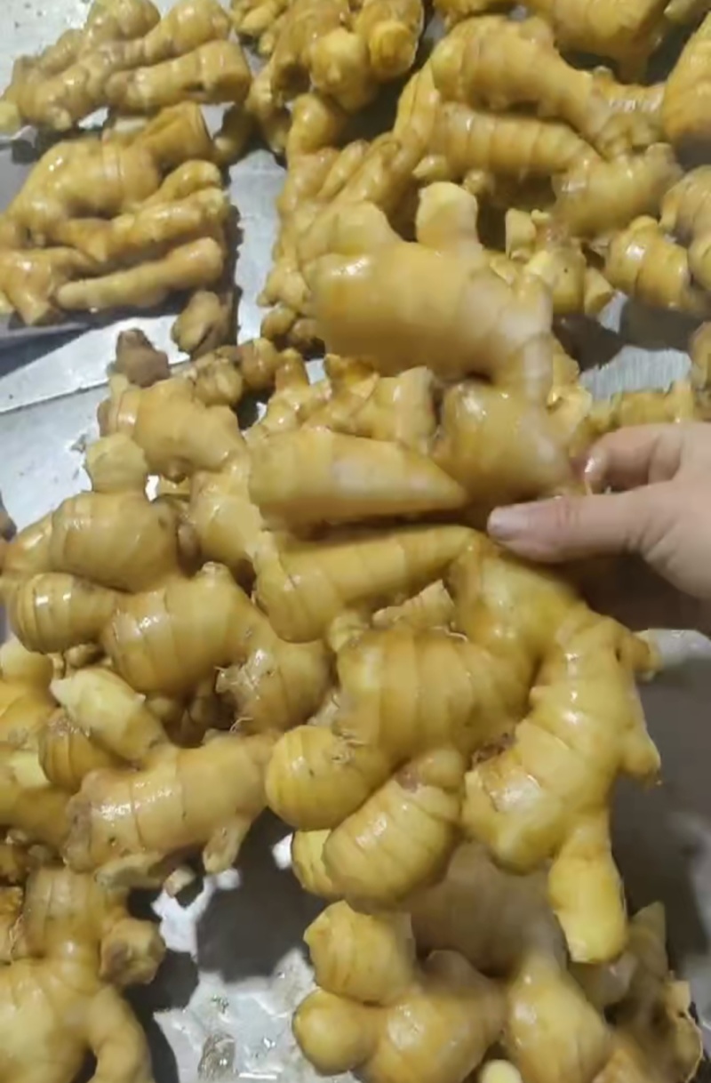 山东精品大黄姜大量有货，欢迎全国各地老板实地考察订购