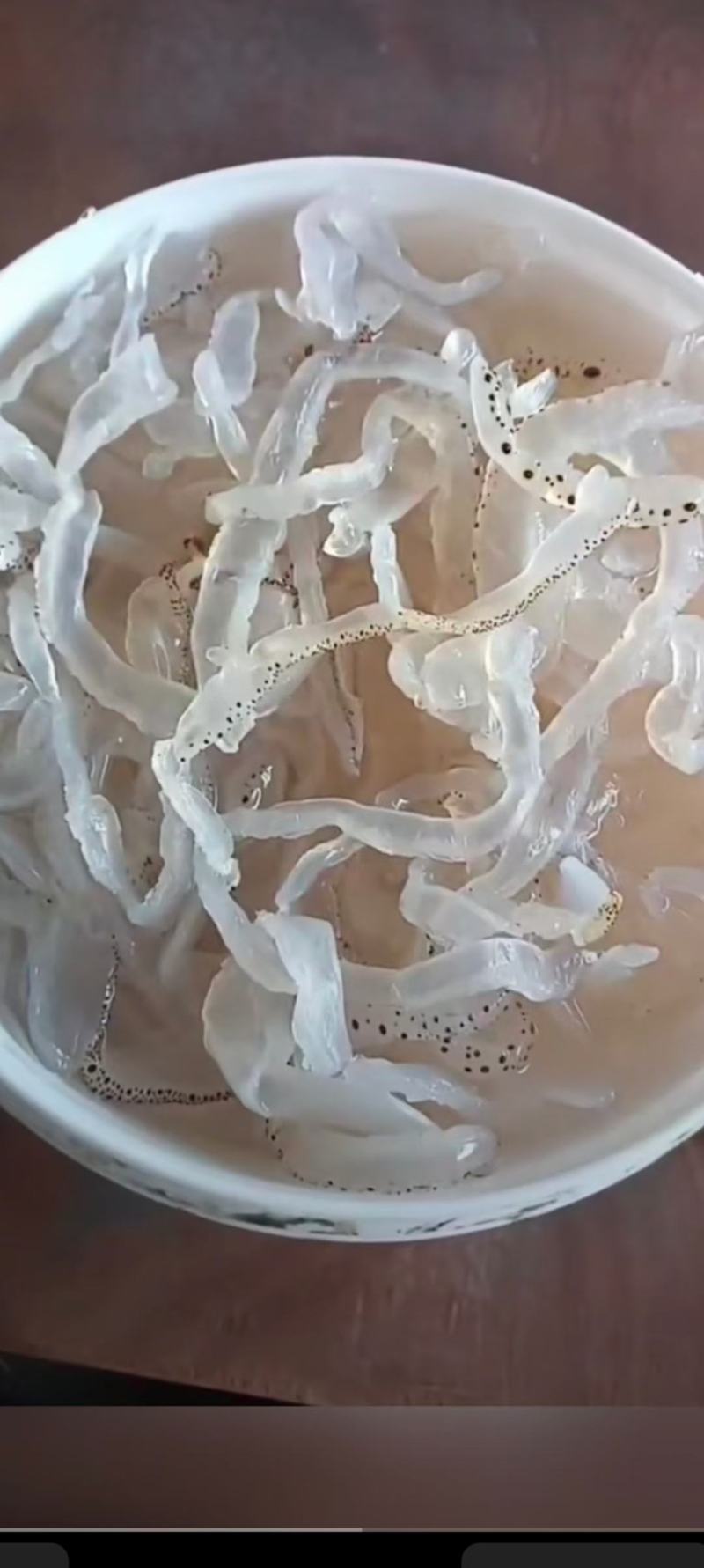 【海蜇丝】