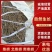 甘肃庆阳南柴胡品质您放心您需要什么给我致电有优惠