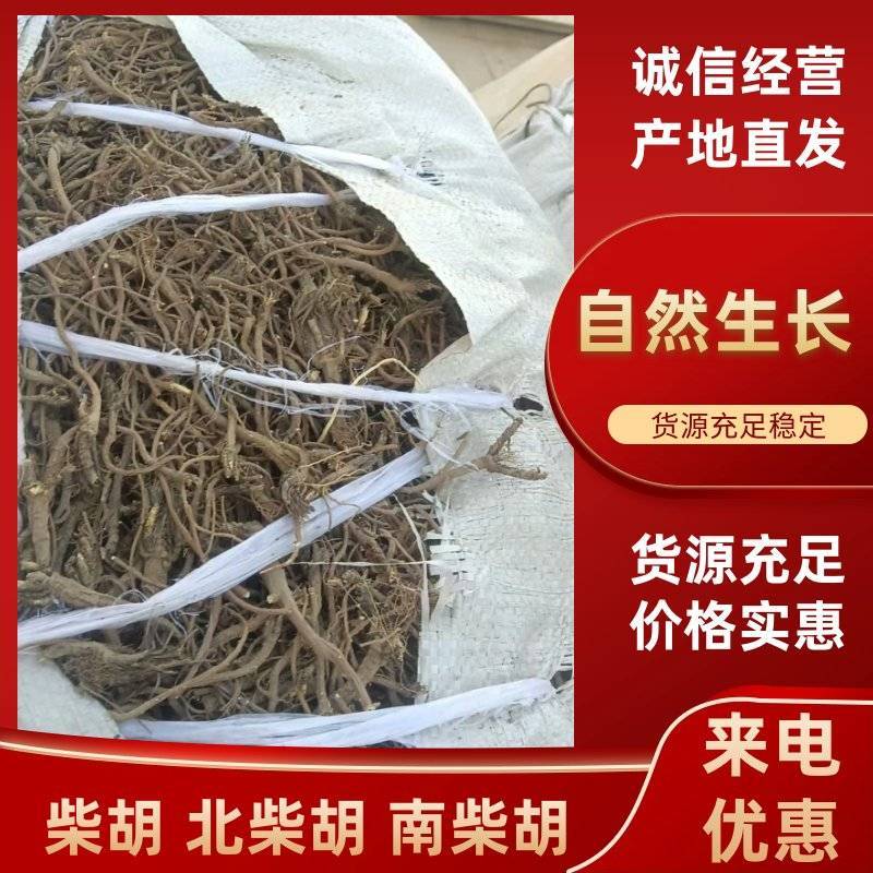 甘肃庆阳南柴胡品质您放心您需要什么给我致电有优惠