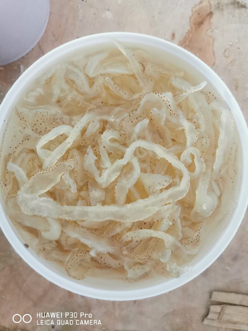 珊瑚海蜇丝，口感脆，有嚼劲，大量现货，场地直发。