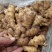 河南许昌大黄姜泥姜坏烂包赔，品质保证自家种植基地！